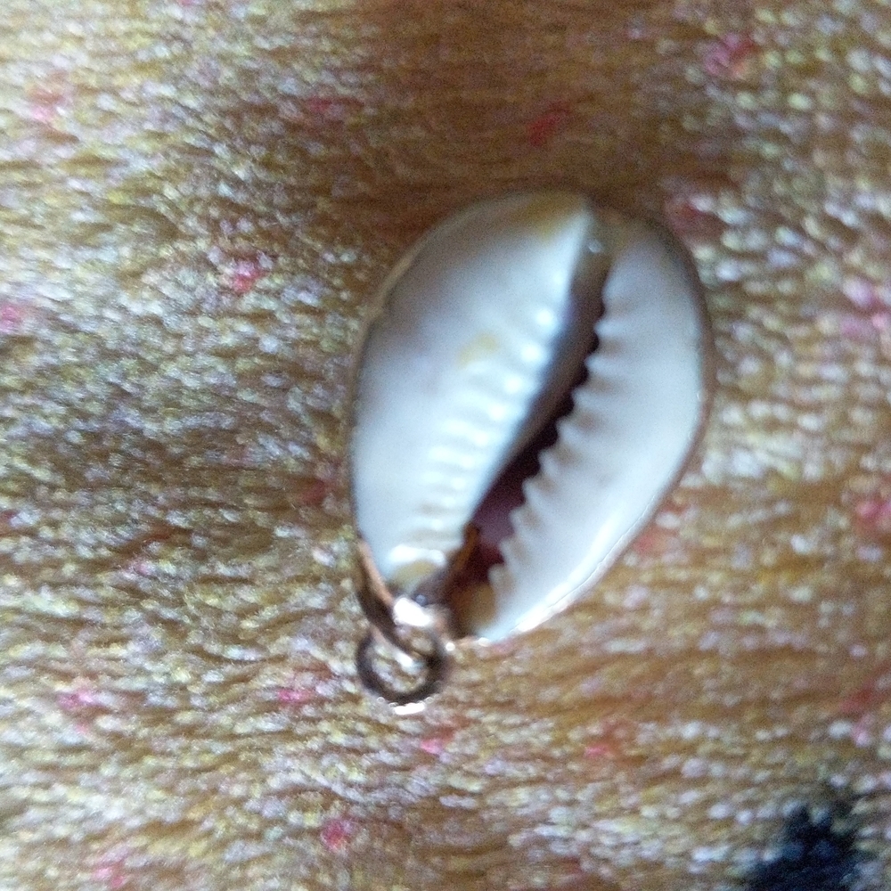 Seashell Necklace Charm 1" NWOT - Picture 4 of 4
